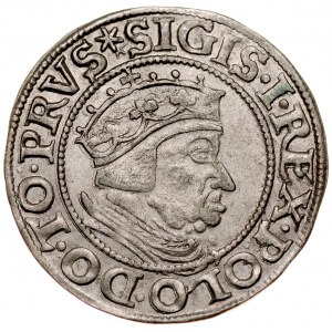 Zygmunt I Stary 1506-1548, Grosz 1537, Gdańsk.