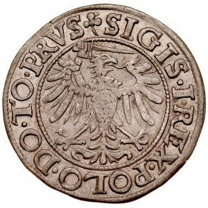 Zygmunt I Stary 1506-1548, Grosz 1539, Elbląg.