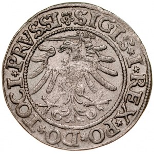 Zygmunt I Stary 1506-1548, Grosz 1533, Elbląg.