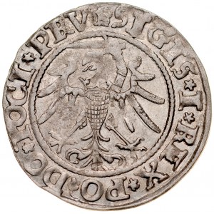 Zygmunt I Stary 1506-1548, Grosz 1535, Elbląg.