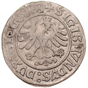 Zygmunt I Stary 1506-1548, Grosz bez daty, Głogów.