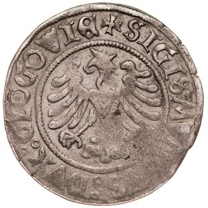 Zygmunt I Stary 1506-1548, Grosz 1506, Głogów.