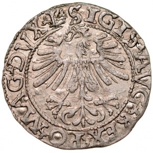 Zygmunt II August 1545-1572, Półgrosz 1562, Wilno.