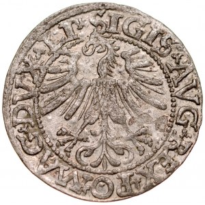 Zygmunt II August 1545-1572, Półgrosz 1562, Wilno.