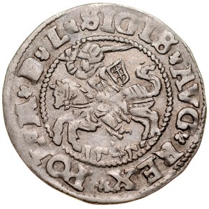 Zygmunt II August 1545-1572, Półgrosz 1545, Wilno. RRR.
