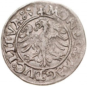 Zygmunt II August 1545-1572, Półgrosz bez daty, Wilno. RRR.