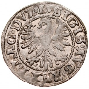 Zygmunt II August 1545-1572, Półgrosz 1546, Wilno.