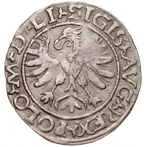 Zygmunt II August 1545-1572, Półgrosz 1566, Tykocin. RR.