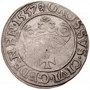 Zygmunt II August 1545-1572, Grosz 1557, Gdańsk.