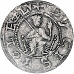 Bolesław III Krzywousty 1107-1138, Denar, Av.: Książę na tronie, napis: DVCIS BOLEZLA, Rv.: Krzyż, napis: DENARIVS.