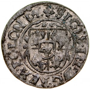 Zygmunt III 1587-1632, Szeląg 1626, Bydgoszcz.