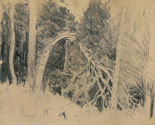 Leon Wyczółkowski, LAS