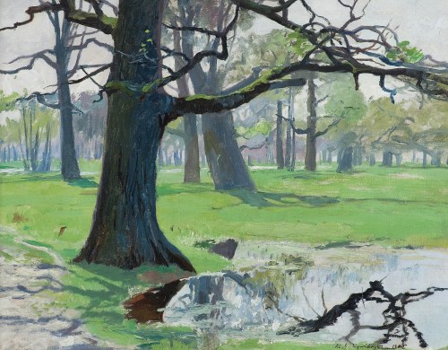 Michał Gorstkin Wywiórski, DĘBY NA ŁĄKACH, 1905