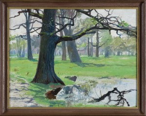 Michał Gorstkin Wywiórski, DĘBY NA ŁĄKACH, 1905