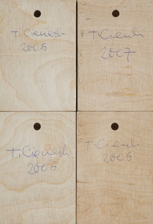 Tomasz Ciecierski, BEZ TYTUŁU, 2006-2007