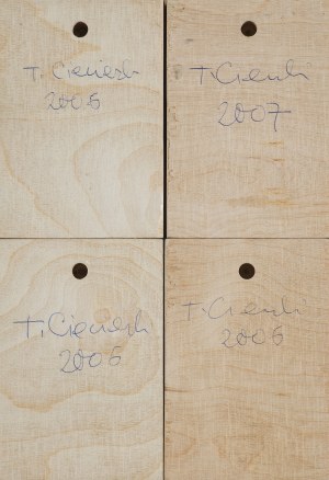 Tomasz Ciecierski, BEZ TYTUŁU, 2006-2007