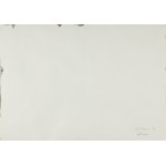 Jan Tarasin, SITUATION, 1996