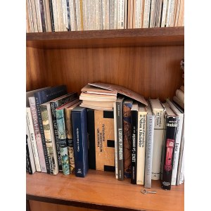 A selection of books on art, history, and literature, including works by Pavese and Lenci.