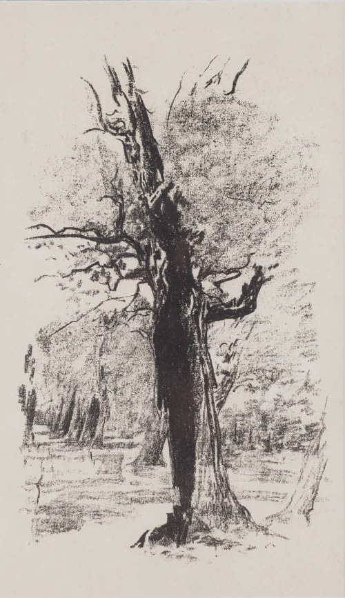 Leon Wyczółkowski (1852 Huta Miastkowska - 1936 Warszawa), 