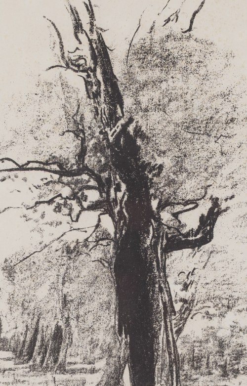 Leon Wyczółkowski (1852 Huta Miastkowska - 1936 Warszawa), 