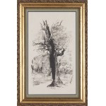 Leon Wyczółkowski (1852, Huta Miastkowska – 1936, Warsaw), “A Dead Oak Against a Forest Background,” Plate 14 from “Lithuanian Portfolio: 25 Autolithographs and Autoalgrafies,” 1907