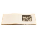 Louis Marcoussis (1878, Łódź – 1941, Cusset), Planches de salut portfolio, 1931