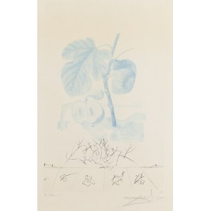 Salvador Dalí (1904 Figueres - 1989 Figueres), Człowiek-figowiec (Homme Figuier) z cyklu FlorDalí / Les Fruits, 1969