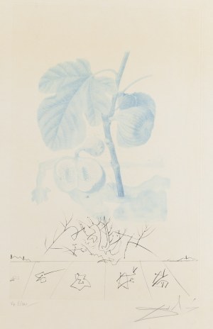 Salvador Dalí (1904 Figueres - 1989 Figueres), 