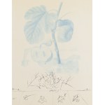Salvador Dalí (1904 Figueres - 1989 Figueres), Człowiek-figowiec (Homme Figuier) z cyklu FlorDalí / Les Fruits, 1969
