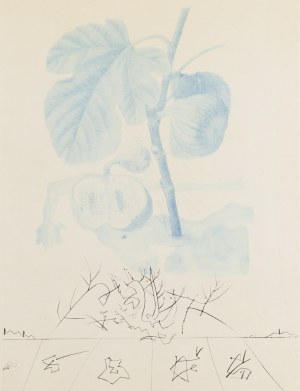 Salvador Dalí (1904 Figueres - 1989 Figueres), 