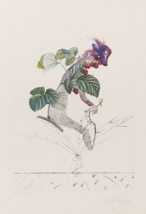 Salvador Dalí (1904 Figueres - 1989 Figueres), 
