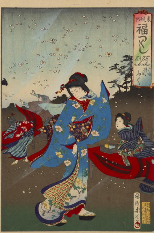 Yoshu Chikanobu, 