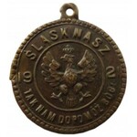 Polska, II RP, odznaka Plebiscytu Śląskiego 1921, Śląsk Nasz, brąz