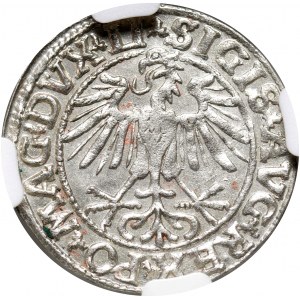 Zygmunt II August, półgrosz 1550, Wilno, NGC MS63