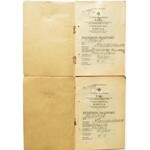 Austro-Węgry, zestaw dwóch paszportów wydanych w roku 1918 w imieniu cesarza Karola
