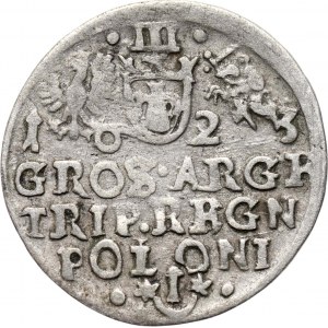 Zygmunt III Waza, trojak 1623, Kraków, odmiana ARGR, nienotowana u Igera!