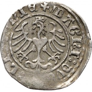 Zygmunt I Stary, półgrosz 1509, Wilno, ładny