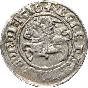 Zygmunt I Stary, półgrosz 1510, Wilno, ogon konia w kształcie S do góry i kropka