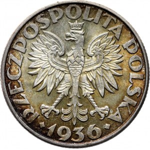 Polska, II RP, Żaglówka, 2 złote 1936, piękny egzemplarz