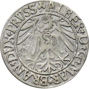 Prusy Książęce, Albrecht, Grosz pruski 1546, Królewiec