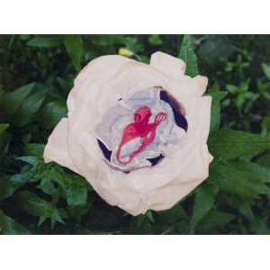 Małgorzata Markiewicz (geb. 1979), Ohne Titel aus der Serie „Blumen“, 2007