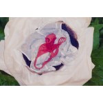Małgorzata Markiewicz (geb. 1979), Ohne Titel aus der Serie „Blumen“, 2007