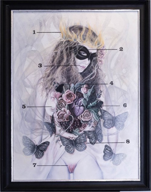 Marta Julia Piórko (ur. 1981), Anatomia Wenus, 2014