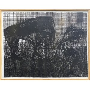 Anna Dyjas, Člověk a zvíře, 2010