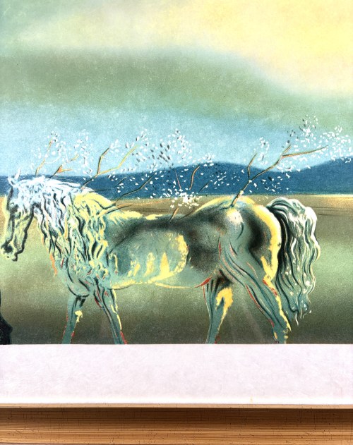 Salvador Dalí (1904-1989),, „La Licorne Allègre, ou la Métamorphose des plantes” („Szczęśliwy jednorożec, czyli Metamorfoza roślin”), ok.1970 r. (1931)