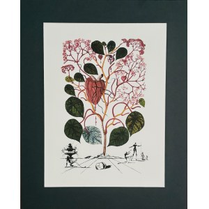 Salvador Dalí (1904–1989), *Le Begonia* from the *Flordali* series (also known as *Flora Dalinae* or *Fleurs Surréalistes*), 1979