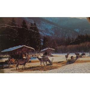 Pocztówka vintage, Austria, 1981