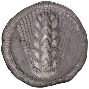 Greek Coins - § LUCANIA Metapontum (540-530 a.C.) Statere - D/ S...
