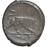 Roman Republican Coins - § Aninime romane (275-270 a.C.) Sud Italia - Doppi...