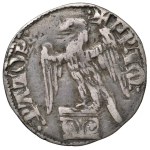 Zobacz podobne